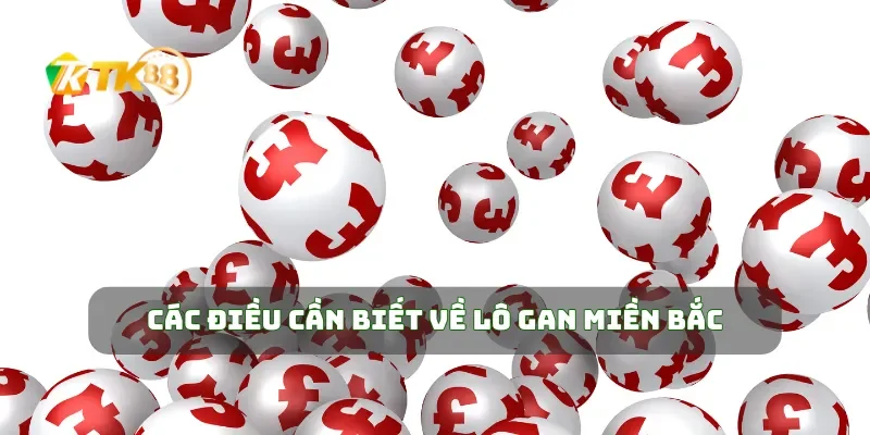 Lô Gan Miền Bắc Cách Chơi Đọc Số Để Trúng Cực Nhanh 1 Các điều cần biết về lô gan miền Bắc