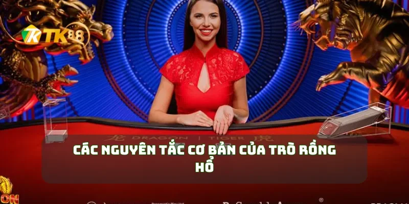 Casino Rồng Hổ Chơi Và Thắng Lớn Với Chiến Thuật Rồng Hổ Đỉnh Cao 2 Các nguyên tắc cơ bản của trò Rồng Hổ