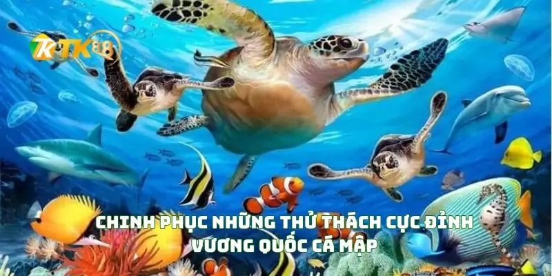 Khám phá vương quốc cá mập và những thử thách cực đỉnh 2 Chinh Phục Những Thử Thách Cực Đỉnh Vương Quốc Cá Mập