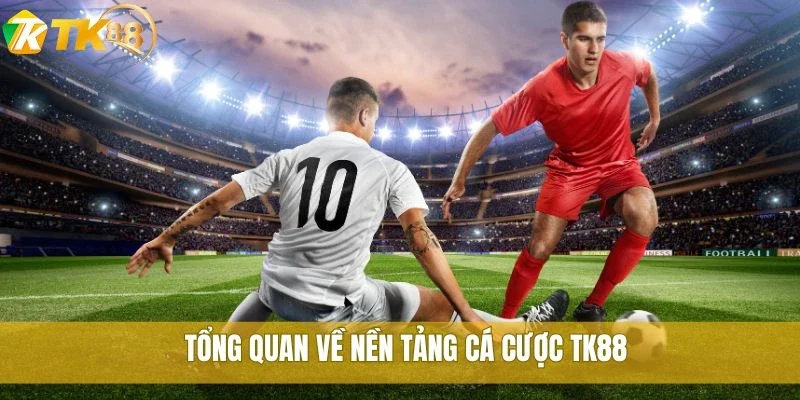 Khám phá trụ sở TK88: Trải nghiệm nền tảng cược hàng đầu 1 Tổng quan về nền tảng cá cược TK88